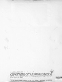 Stemphylium vesicarium image